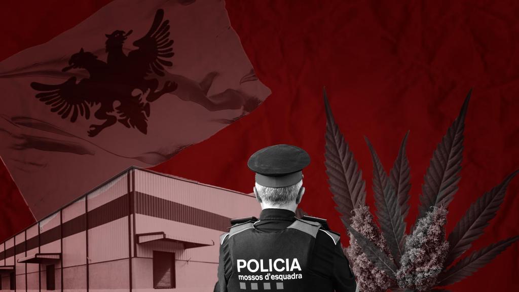 Fotomontaje de un agente de Mossos ante una nave de plantación de marihuana
