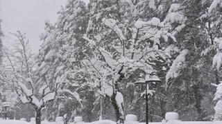 Ola de frío extremo en Cataluña