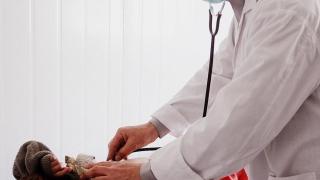 Un menor en una visita pediátrica