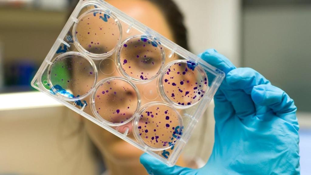 Sanitària d'un grup de recerca de l'Idibaps de l'Hospital Clínic Barcelona