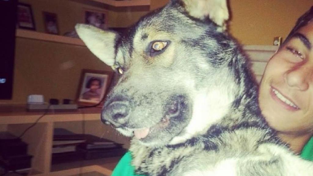 Ferran Torres, de joven, con su mascota