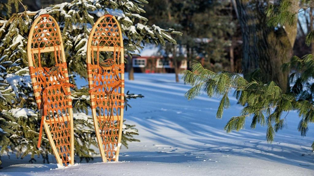 Raquetas en la nieve