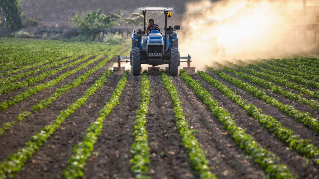 Persona arando la tierra con un tractor