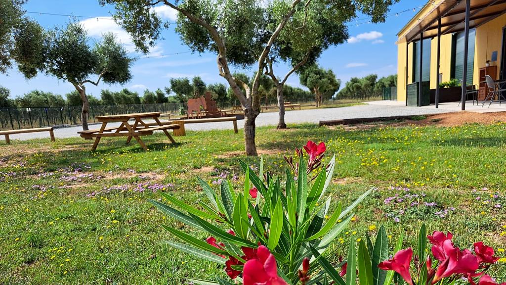 Camping Agrícola Siurana
