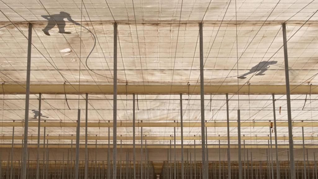 Imagen del 'mar de plástico' de Almería