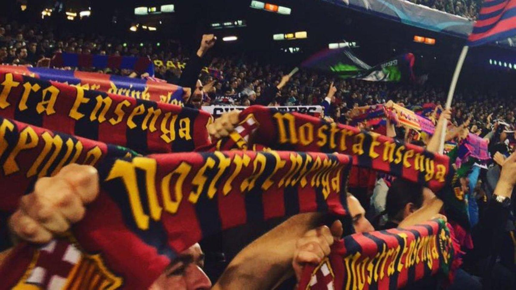 Socios de Nostra Ensenya