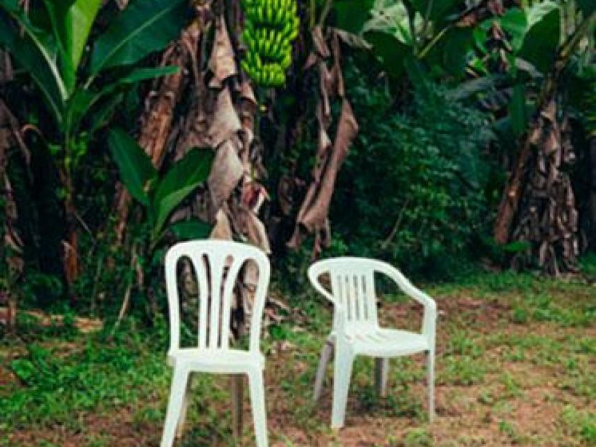 Bad-Bunny-Debi-tirar-mas-fotos