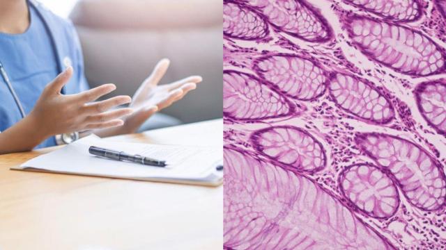 Investigación científica de células