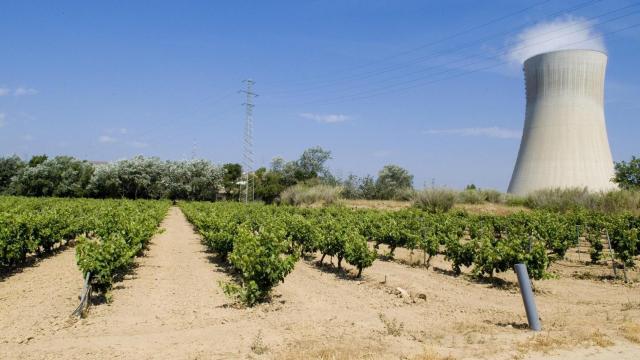 Central nuclear de Ascó (Tarragona)