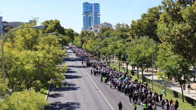 Manifestación sobre el RETA en Madrid