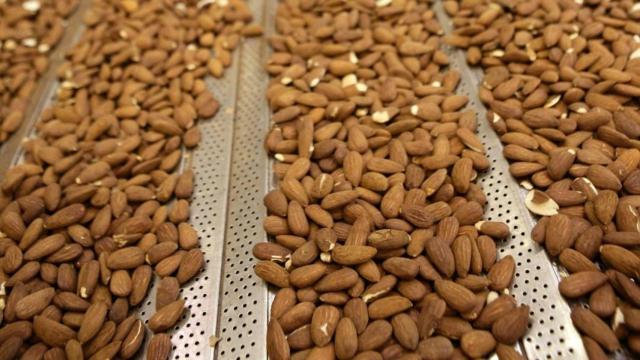 Almendras producidas por BAIN / EP