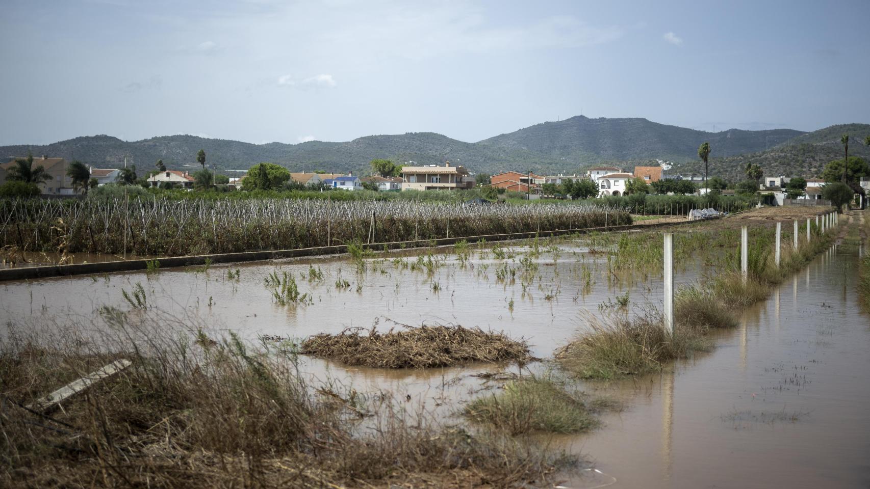 Imagen de archivo de una zona inundable en Les Cases d'Alcanar