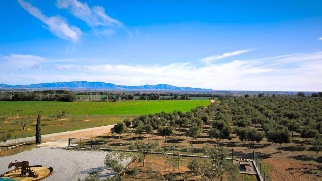 Camping Agrícola Siurana