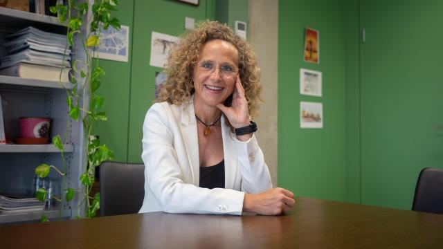 Mercè Caso, nueva presidenta del TSJC