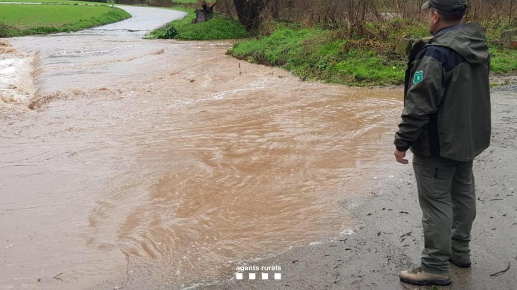 Los Agentes Rurales de la Generalitat hacen seguimiento de los desbordamientos de algunos ríos, que han dejado algunos pasos impracticables