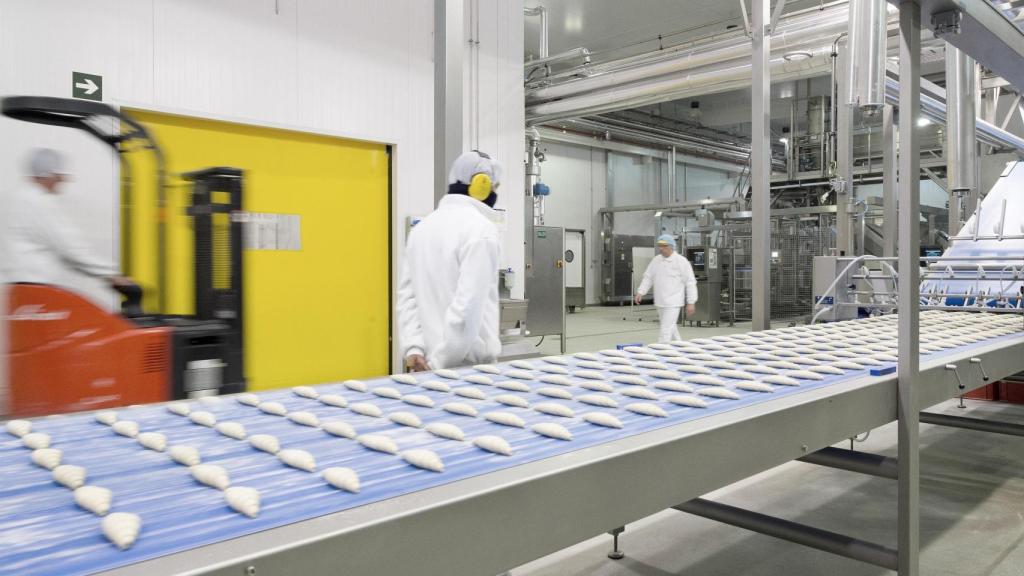 Imatge d'arxiu d'una planta d'Europastry