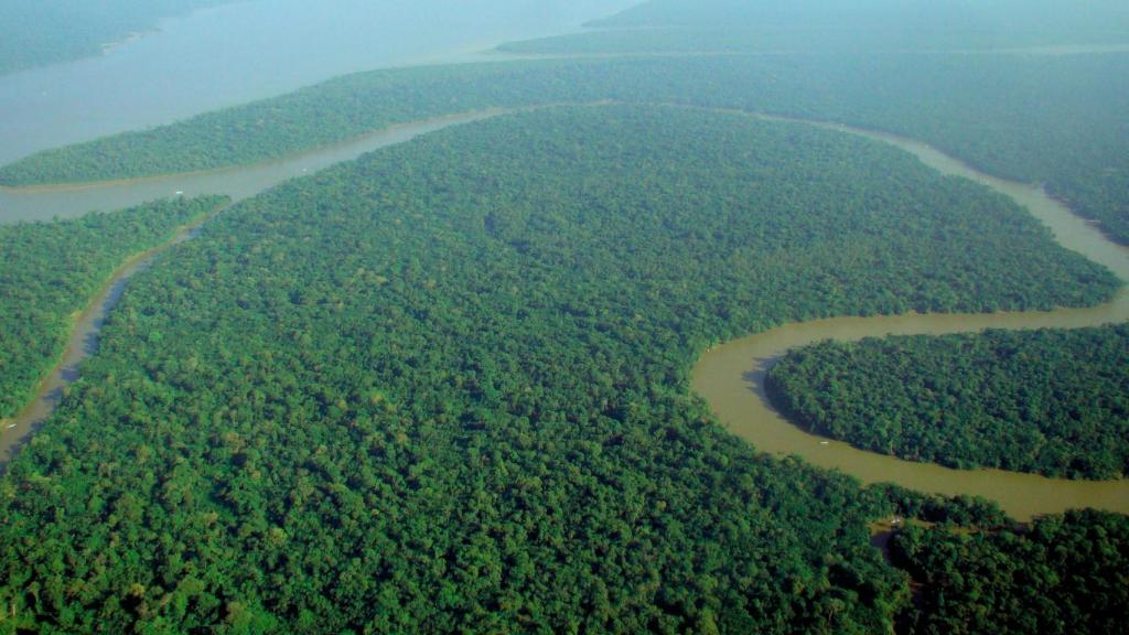 La selva del Amazonas