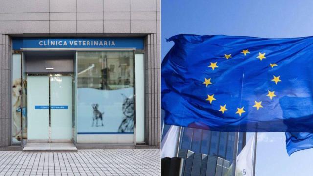 Fotomontaje de una clínica veterinaria y la bandera de Europa