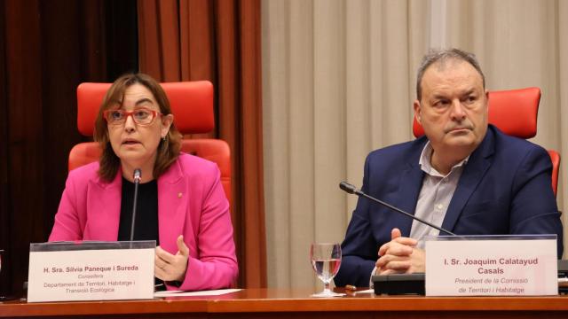 La 'consellera' Sílvia Paneque durante su comparecencia este miércoles en el Parlament