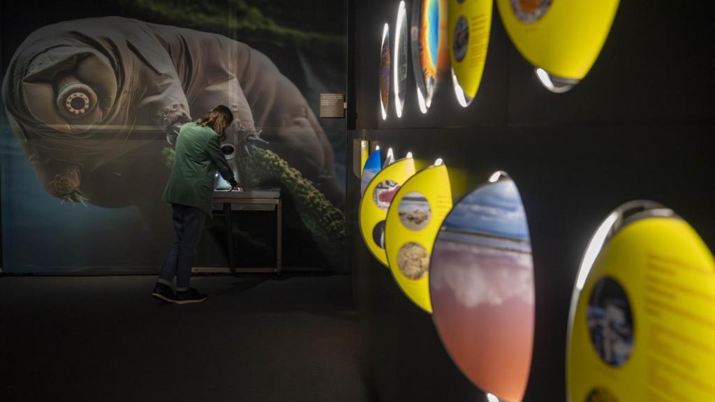 Una visitante observa la muestra de artemia salina mientras otros conocen paisajes extremos de la Tierra