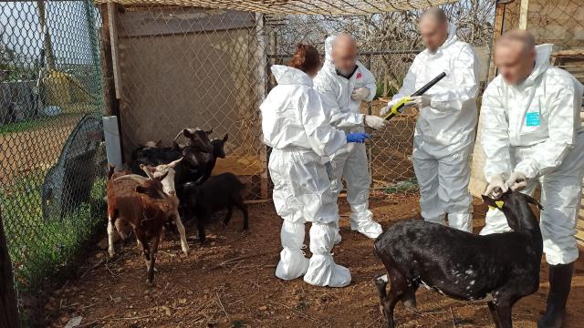 Inspecciones de la finca irregular en Constantí