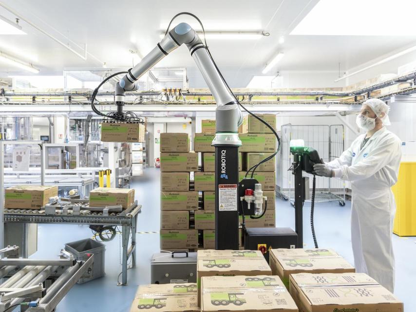 Un operario controla un proceso de paletizado doble en un final de línea