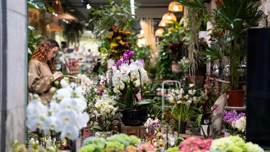 Floristeria C Valencia