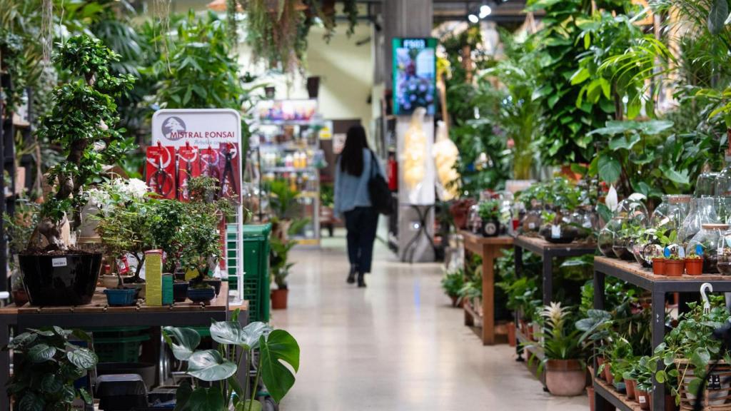 Floristeria C Valencia