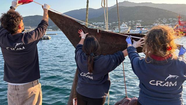 Rescate del cuerpo de un tiburón fallecido en Port de la Selva (Girona)