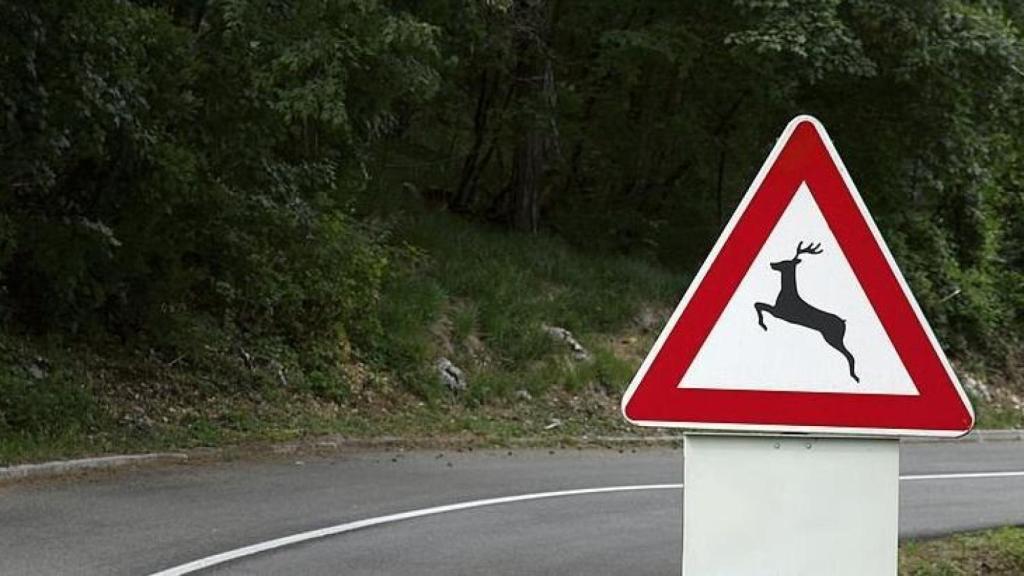 Señal de aviso de animales