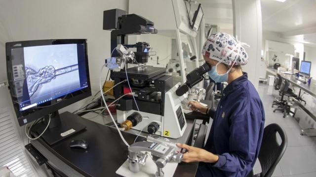 Imagen de un tratamiento de reproducción asistida