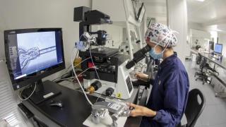 Imagen de un tratamiento de reproducción asistida