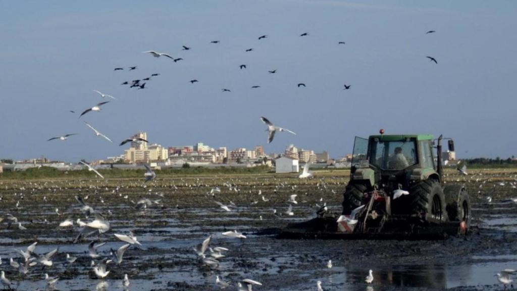Uno de los proyectos medioambientales apoyodo por Reale Foundation
