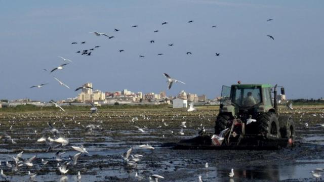 Uno de los proyectos medioambientales apoyodo por Reale Foundation