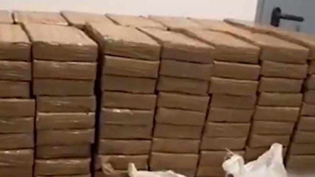 Varias toneladas de hachís intervenidas por los Mossos d'Esquadra en Sant Quintí de Mediona