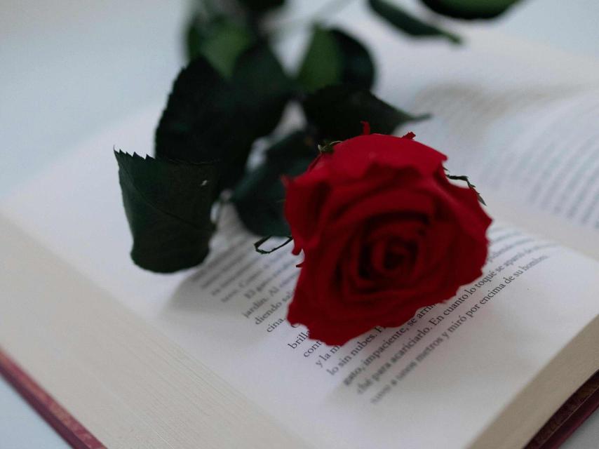 El libro y la rosa de San Jordi