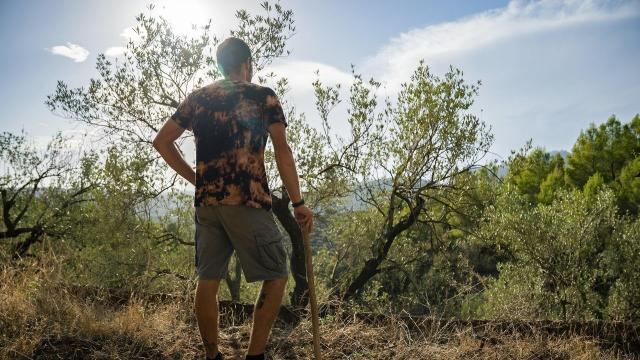 Día soleado en Cataluña