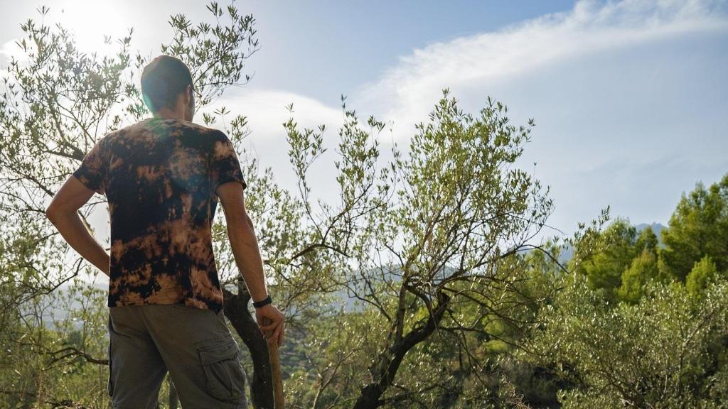 Día soleado en Cataluña