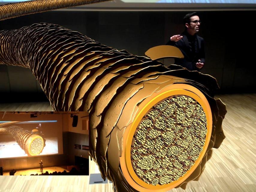 Demostración de realidad aumentada para una presentación de producto de Schwarkopf Professional