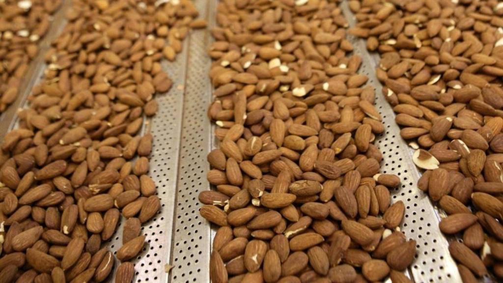 Almendras producidas por Bain