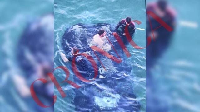 Imagen del coche que cayó al puerto de Torredembarra (Tarragona)