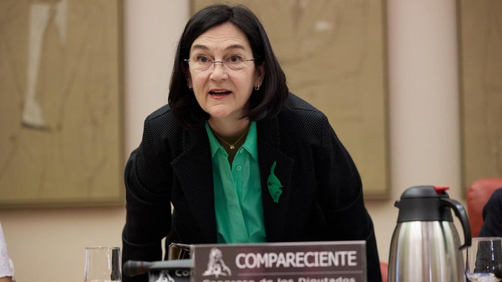 La presidenta de la Comisión Nacional de los Mercados y Competencia (CNMC), Cani Fernández