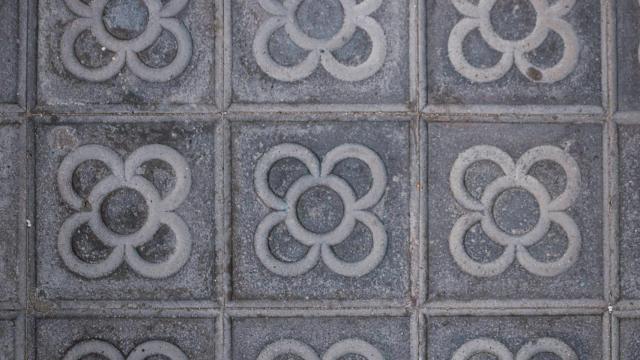 Panot de flor -baldosa de Barcelona-