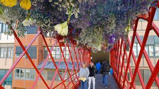 Girona, temps de flors