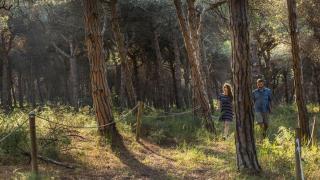 El bosque catalán que sólo se puede visitar 10 veces al año, Pineda de Can Camins