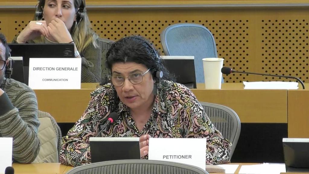 La presidenta de AEB, Ana Losada, durante su intervención en el Parlamento Europeo de mayo de 2025