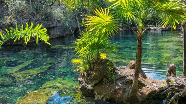 La piscina natural que parece un cenote de la Rivera Maya