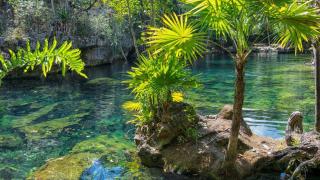 La piscina natural que parece un cenote de la Rivera Maya