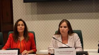 La 'consellera' de Educació i FP de la Generalitat, Esther Niubó, este lunes en la comisión del Parlament