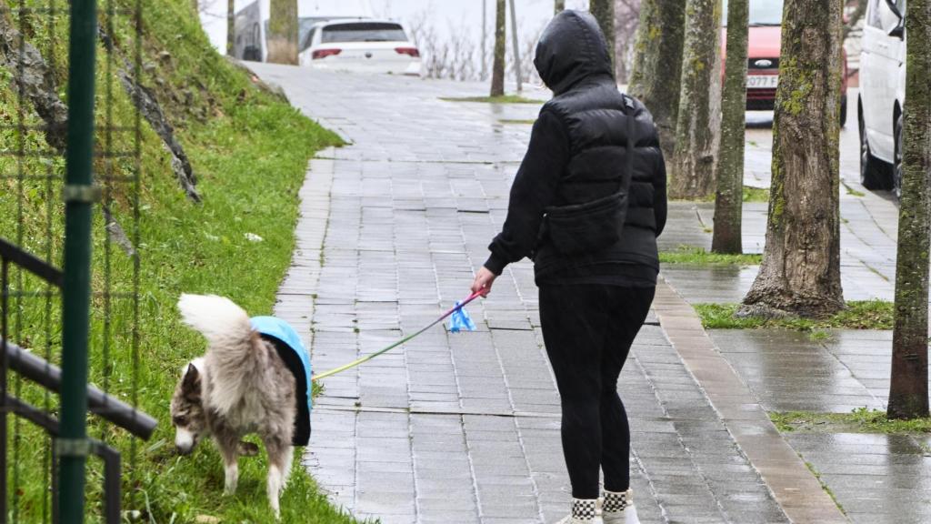 Una persona pasea a su perro bajo la lluvia